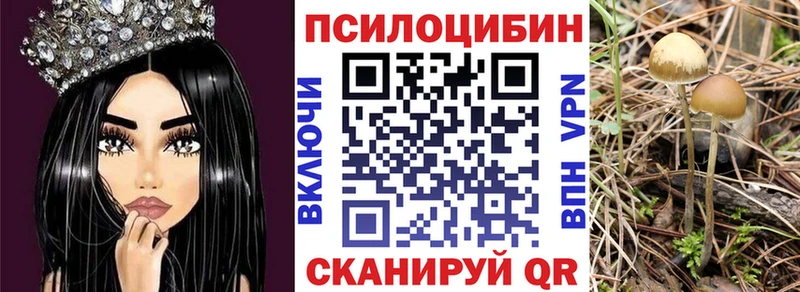 Галлюциногенные грибы мицелий  Пикалёво 